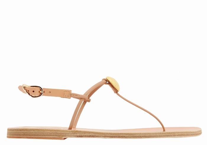 Sandales Bride Arrière Ancient Greek Sandals Dimitra Flip Flop   | YRC-0314856